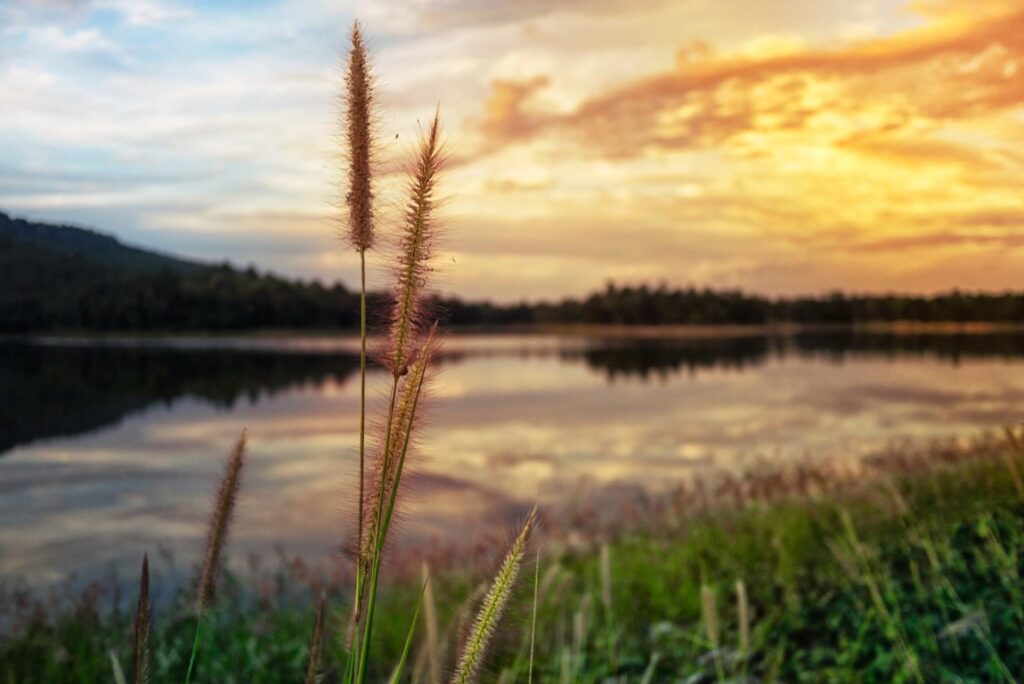 Budowa domu na zakupionej działce wymaga załatwienia odpowiednich formalności prawnych oraz uzyskanie pozwolenia na budowę.